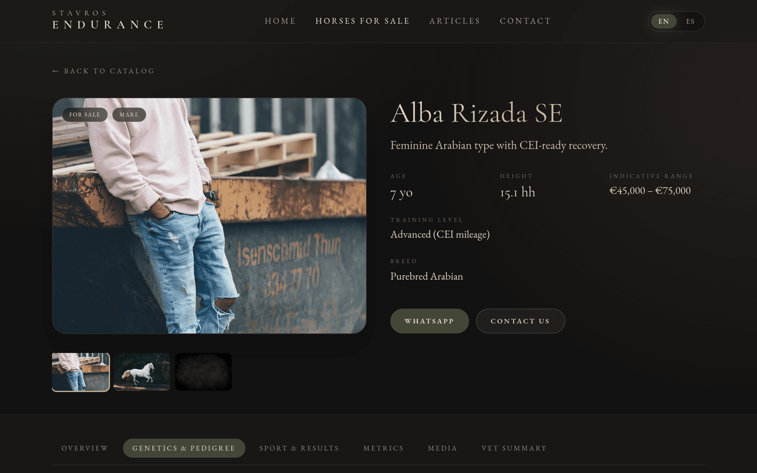 Screenshot of Stavros Endurance — Alba Rizada